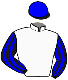 Casaque n°6