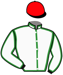 Casaque n°2