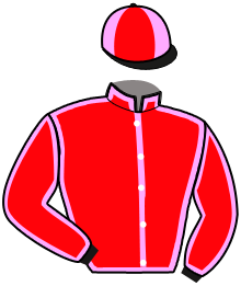 Casaque n°12
