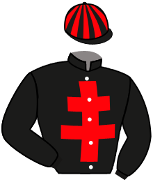 Casaque n°10