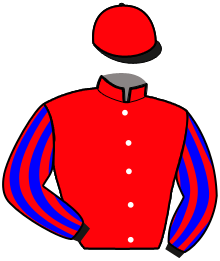 Casaque n°13