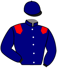 Casaque n°2