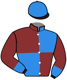 Casaque n°11