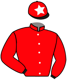 Casaque n°12