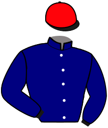 Casaque n°11