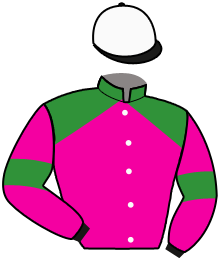 Casaque n°13