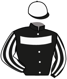 Casaque n°4