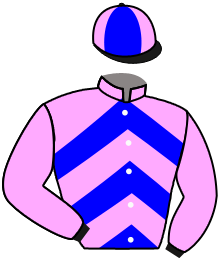 Casaque n°5