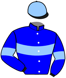 Casaque n°12