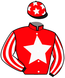 Casaque n°3
