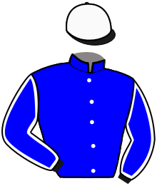 Casaque n°6