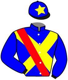 Casaque n°6