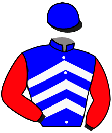 Casaque n°11