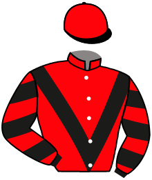 Casaque n°12