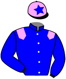 Casaque n°13