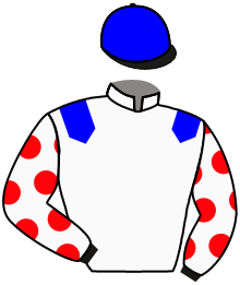 Casaque n°8