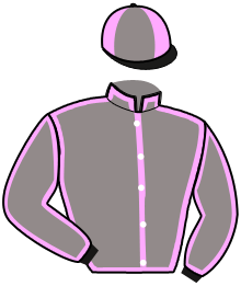 Casaque n°14