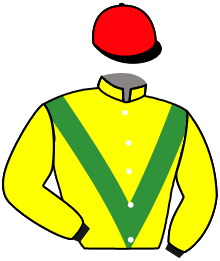 Casaque n°2