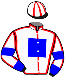 Casaque n°13
