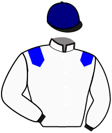 Casaque n°4
