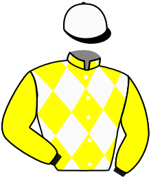 Casaque n°3