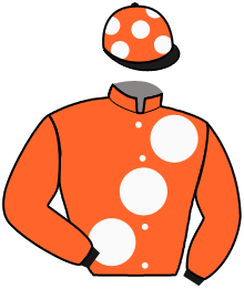 Casaque n°8
