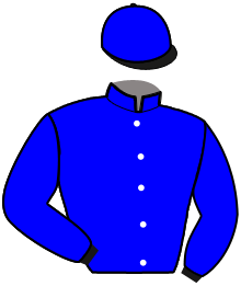 Casaque n°1