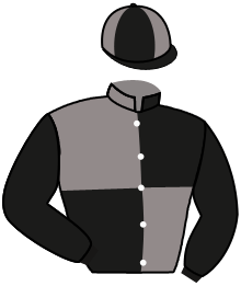Casaque n°2