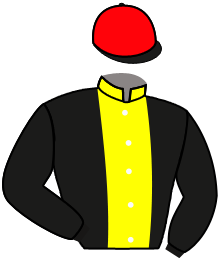 Casaque n°6
