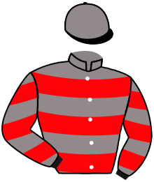 Casaque n°13