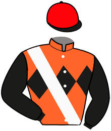 Casaque n°2