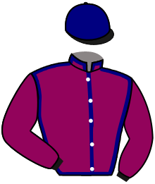Casaque n°15