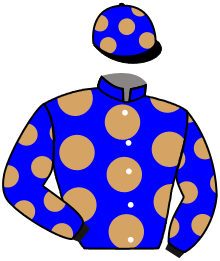 Casaque n°7