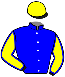 Casaque n°9