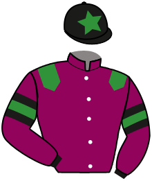 Casaque n°2