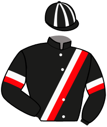 Casaque n°2