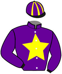 Casaque n°10