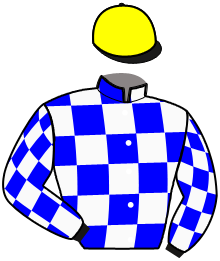 Casaque n°3