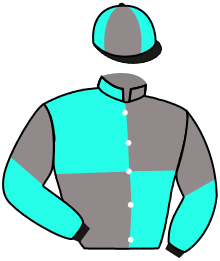 Casaque n°5