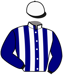 Casaque n°11