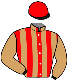 Casaque n°6