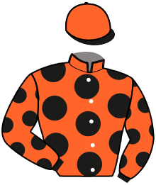Casaque n°6