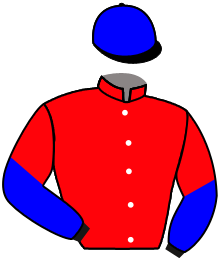 Casaque n°2