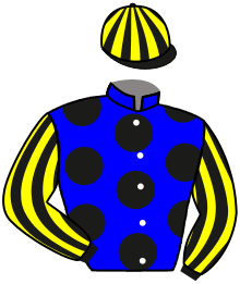 Casaque n°3