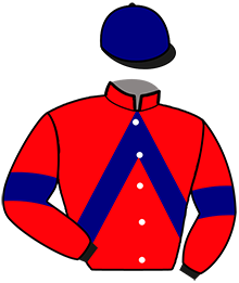Casaque n°6