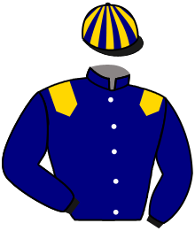 Casaque n°2