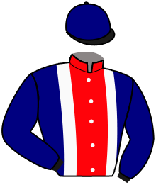 Casaque n°10
