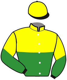 Casaque n°4