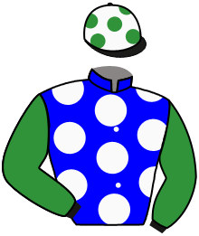 Casaque n°5