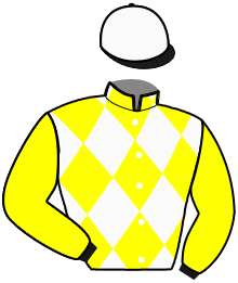 Casaque n°3